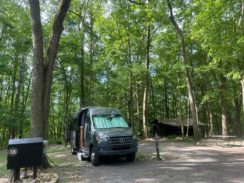 Motorhome in a shady site