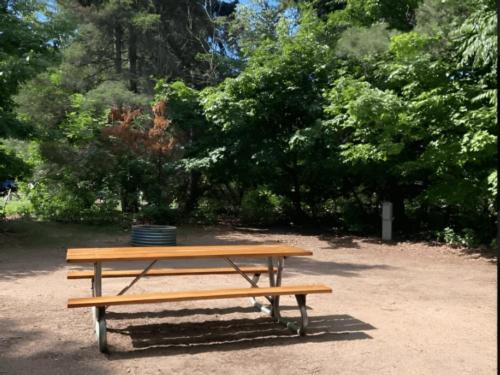 Panic area at Barnes Park Campground