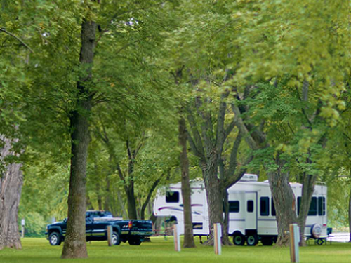 RV site among the trees