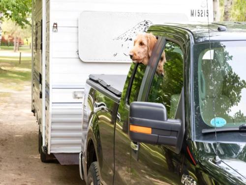 A dog in a truck pulling a trailer