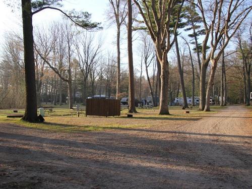 Dirt road at Whispering Surf Campground At Bass Lake