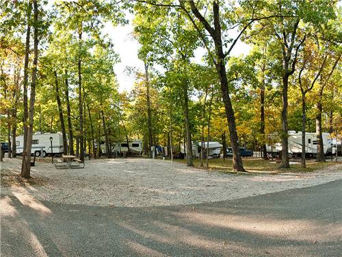 Shady gravel RV sites