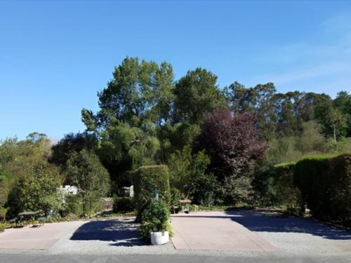 RV site with landscaped privacy screen