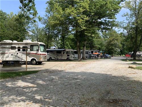A row of motorhomes and trailers in paved sites at TERRE HAUTE CAMPGROUND