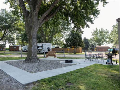 A BBQ and firepit under a tree