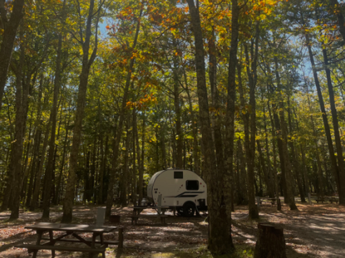 Shady sites at Megunticook Campground by the Sea