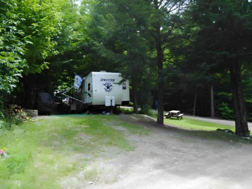 An RV parked in a shady site