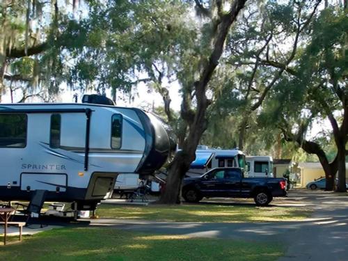 RVs parked under shade trees at Silver Springs RV Park