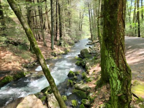 Creek at Jim Thorpe Camping Resort