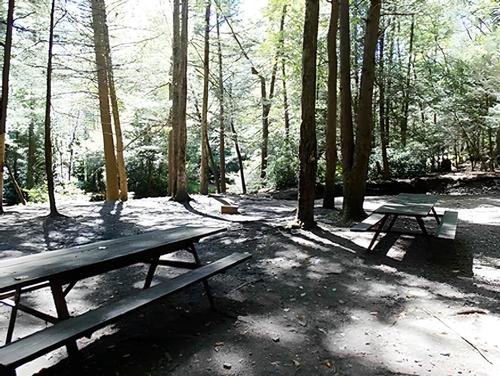 Campsite at Jim Thorpe Camping Resort