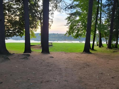 Trees with lake view at Bear Lake Campground