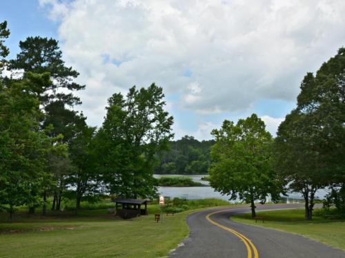 Driveway at site Texas State Railroad RV Park & Campground