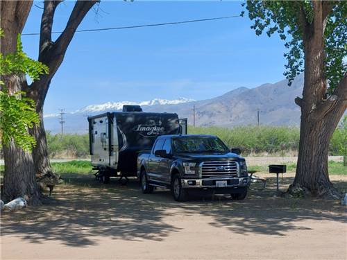 Trailer and truck under trees