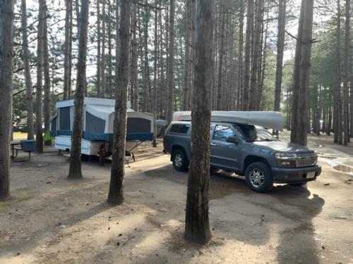 Tent trailer in treed site