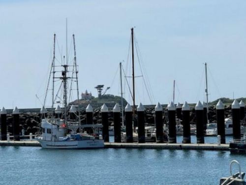 Redwood Harbor Village