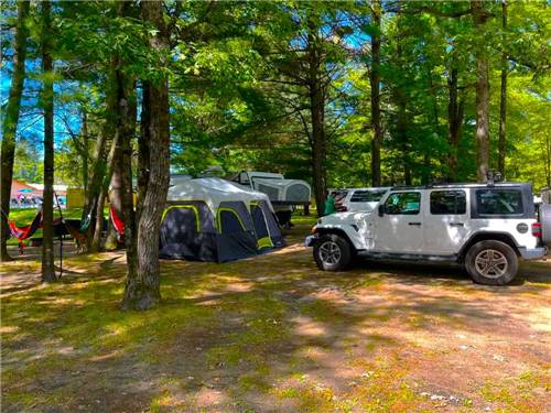 Tent camping under tall trees