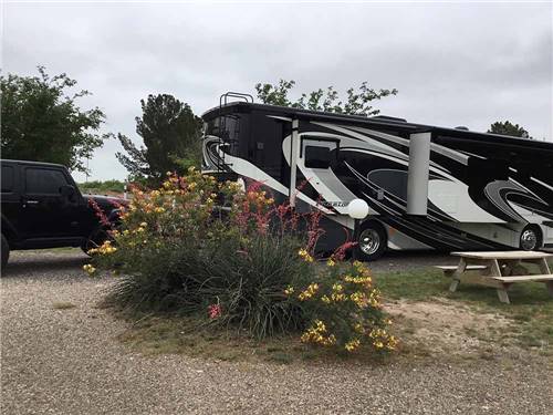 Flowers next to an RV site at FORT STOCKTON RV PARK