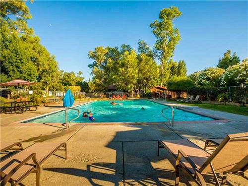 People swimming in the pool at VINEYARD RV PARK