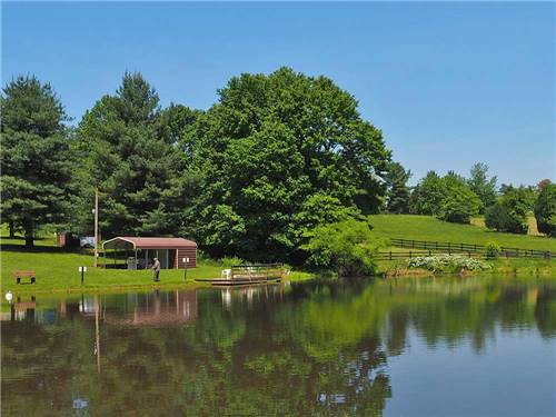 Trees across the water at RAMBLIN' PINES FAMILY CAMPGROUND & RV PARK