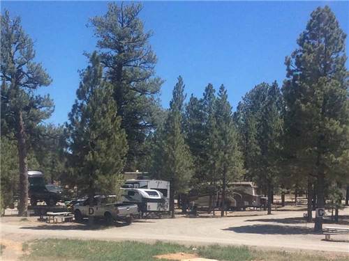 Bryce Canyon Pines Store & Campground & RV Park