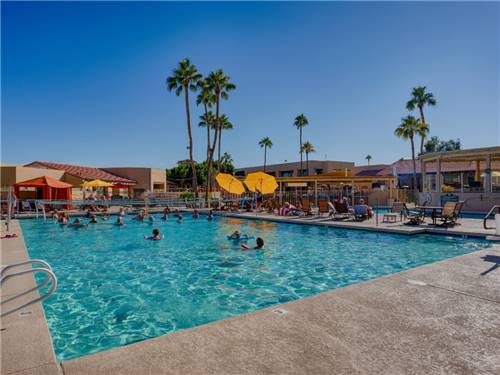 Sunflower RV Resort in Surprise, AZ