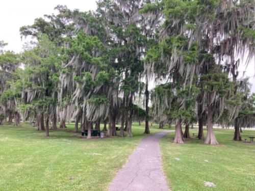 Trees at site Lake End Park Campground & Cabins