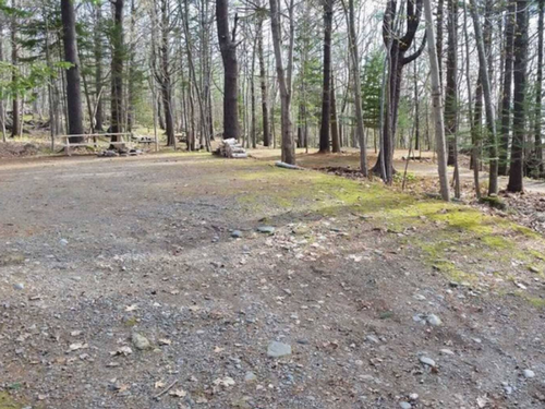 Gravel sites at Sea Swell Campgrounds/Camden Hills