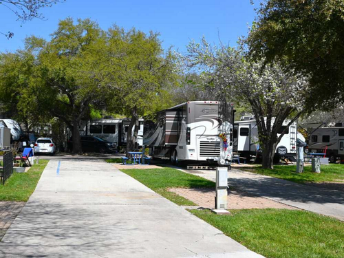 RVs in sites with trees