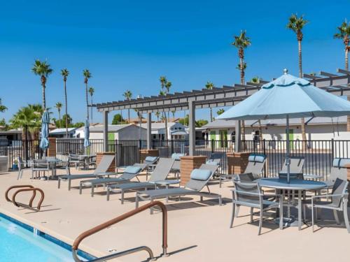 Swimming pool and chaise lounges