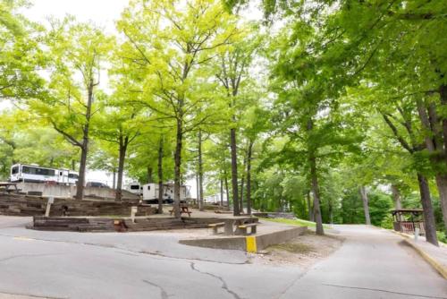Tree's near parked RV's at Branson View RV Park
