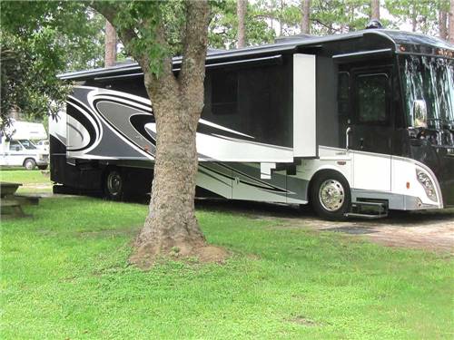 RV camping at SUGAR MILL RV PARK