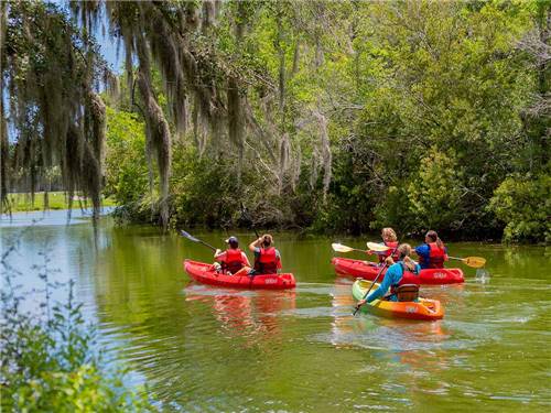 The Campground At James Island County Park