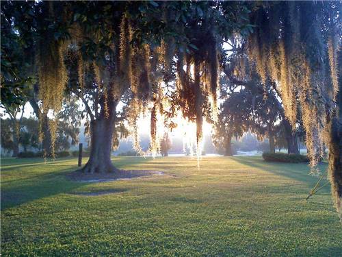 Oak Plantation Campground in Charleston, SC