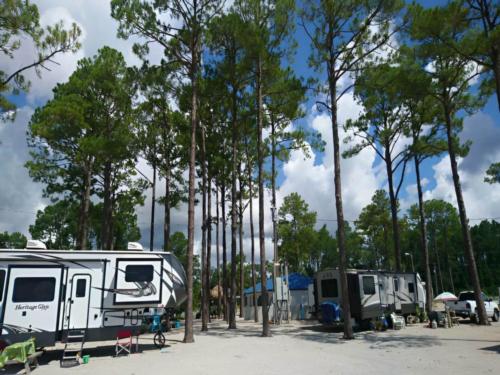RVs parked in sites