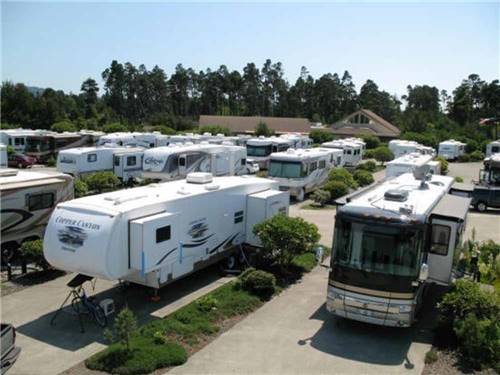 An aerial view of the paved pull thru sites at PACIFIC PINES RV PARK & STORAGE