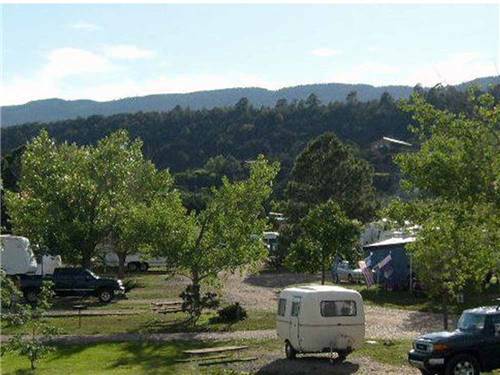 RVs in a campsite with sites shaded by trees at TURQUOISE TRAIL CAMPGROUND & RV PARK