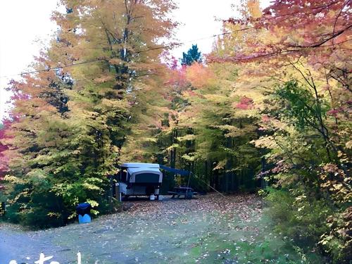 Shady sites at Moosehead Family Campground