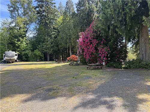 Cove RV Park & Country Store