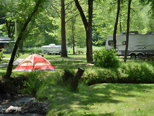 RV and tent camping under trees
