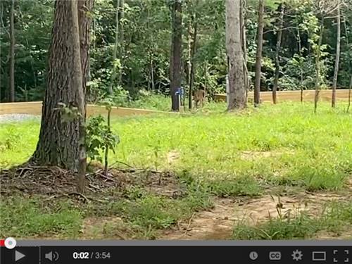 Huggins Haven RV Campground