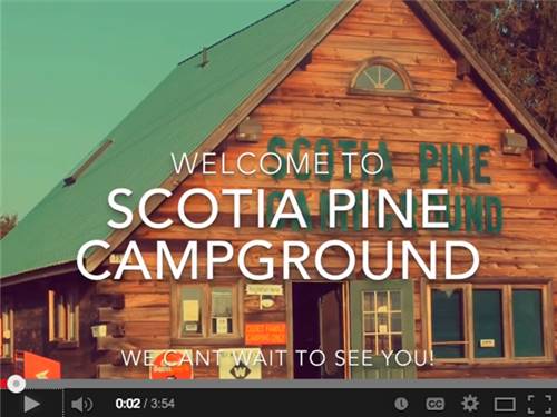 Scotia Pine Campground