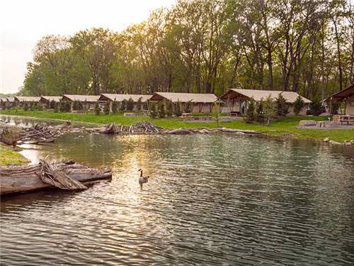 Cabins At Sankoty Lakes